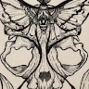 Meet your Posher, Ace